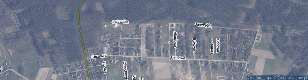 Zdjęcie satelitarne Modrzewiowa ul.