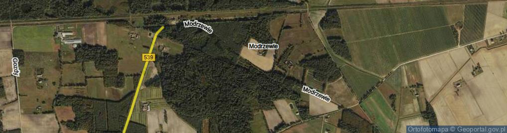 Zdjęcie satelitarne Modrzewie ul.