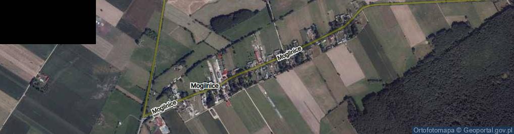 Zdjęcie satelitarne Mogilnice ul.
