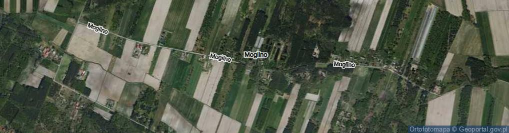 Zdjęcie satelitarne Mogilno ul.
