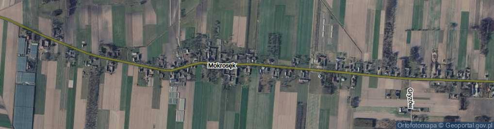 Zdjęcie satelitarne Mokrosęk ul.