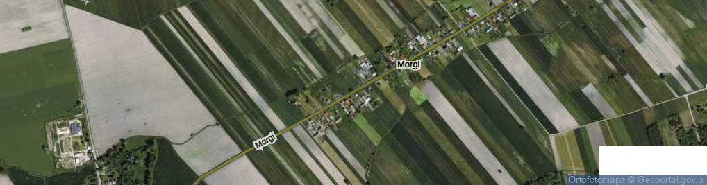 Zdjęcie satelitarne Morgi ul.