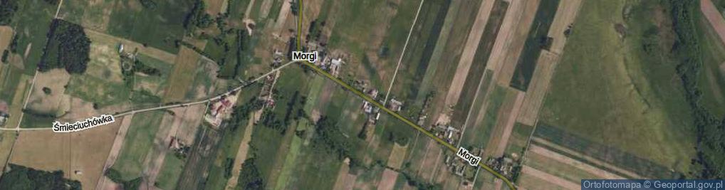 Zdjęcie satelitarne Morgi ul.
