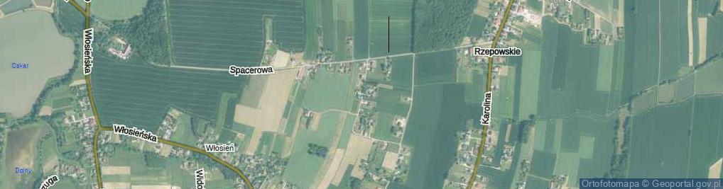 Zdjęcie satelitarne Modrzewiowa ul.