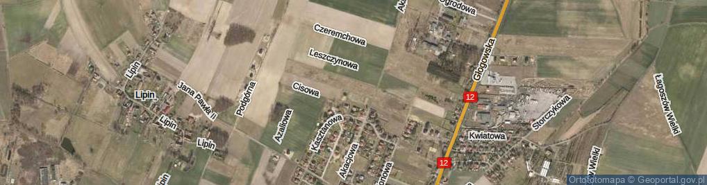 Zdjęcie satelitarne Morwowa ul.