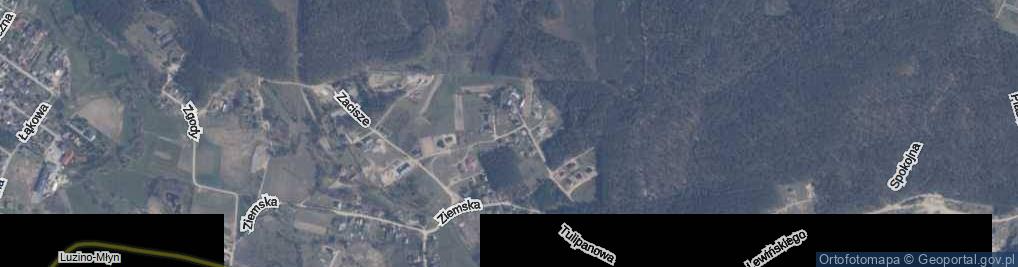 Zdjęcie satelitarne Modrzewiowa ul.