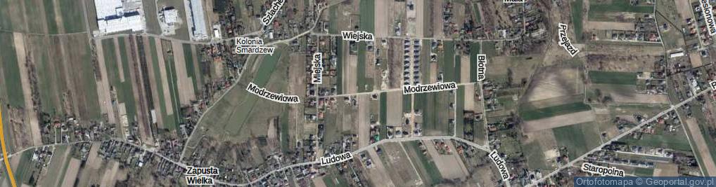 Zdjęcie satelitarne Modrzewiowa ul.
