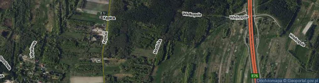 Zdjęcie satelitarne Modlicka ul.