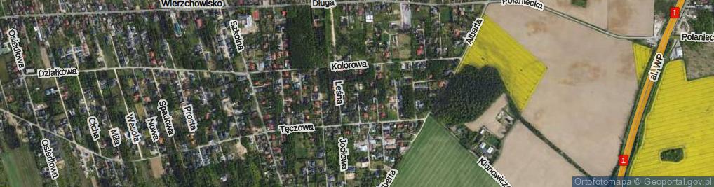 Zdjęcie satelitarne Modrzewiowa ul.