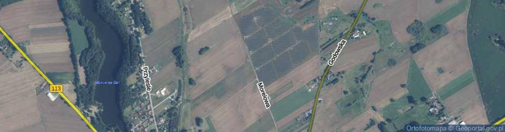 Zdjęcie satelitarne Morelowa ul.