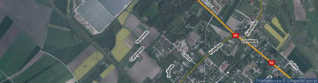 Zdjęcie satelitarne Modrzewiowa ul.