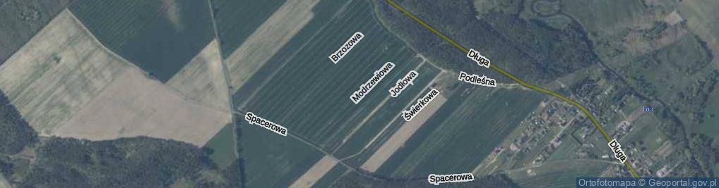 Zdjęcie satelitarne Modrzewiowa ul.