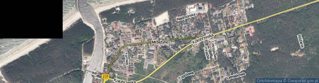 Zdjęcie satelitarne Mrzeżyno ul.