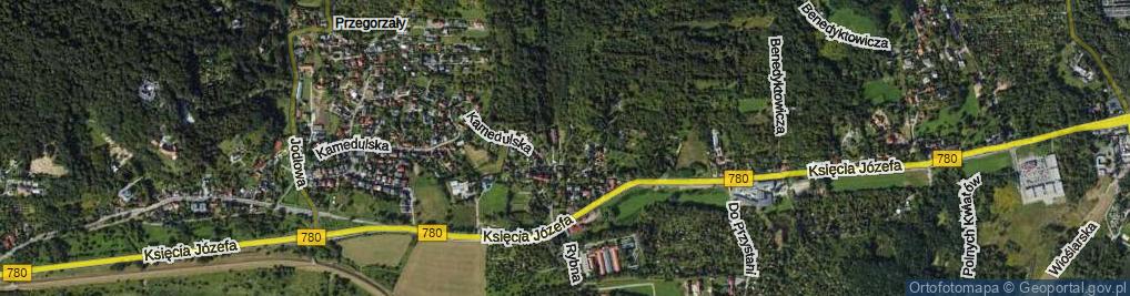 Zdjęcie satelitarne Muzyczki Ludwika ul.