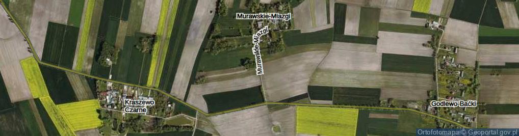 Zdjęcie satelitarne Murawskie-Miazgi ul.