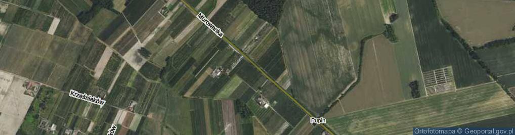 Zdjęcie satelitarne Murowanka ul.