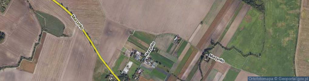 Zdjęcie satelitarne Murzynko ul.