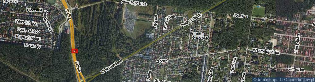 Zdjęcie satelitarne Myśliwska ul.