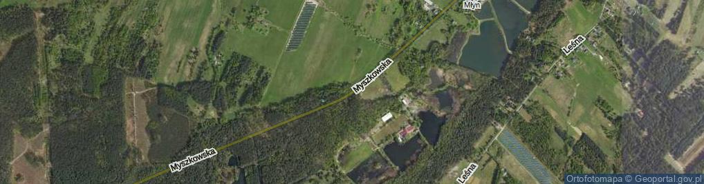 Zdjęcie satelitarne Myszkowska ul.
