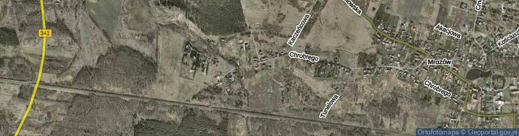 Zdjęcie satelitarne Myszołowia ul.