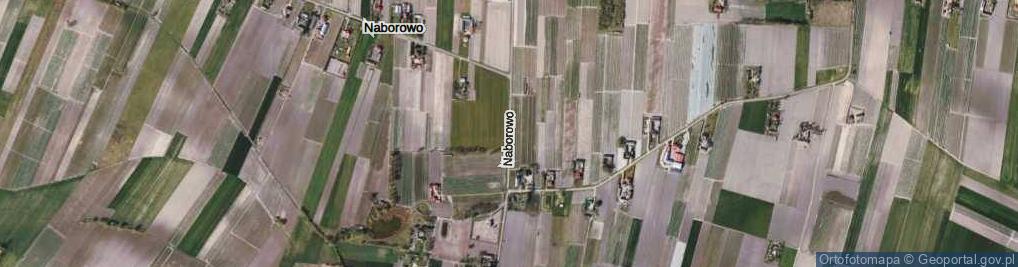 Zdjęcie satelitarne Naborowo ul.