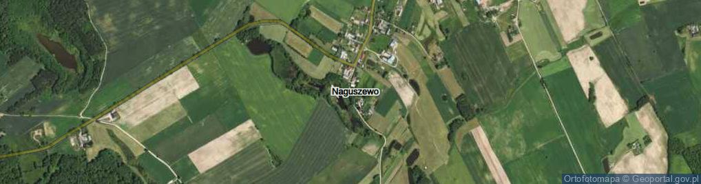 Zdjęcie satelitarne Naguszewo ul.