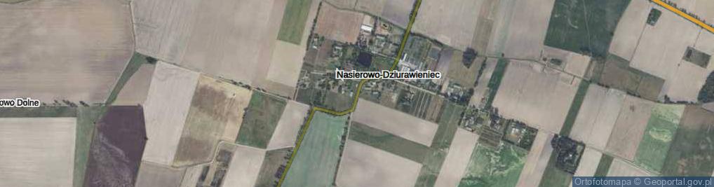 Zdjęcie satelitarne Nasierowo-Dziurawieniec ul.