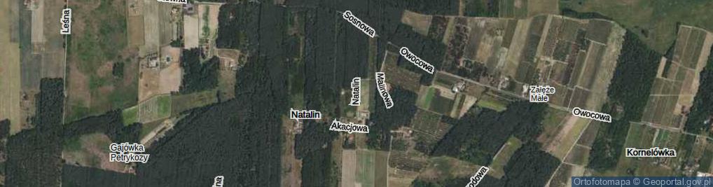 Zdjęcie satelitarne Natalin ul.