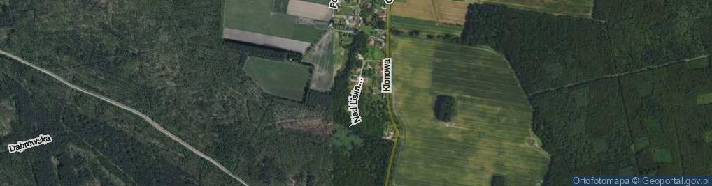 Zdjęcie satelitarne Nad Lisim Potokiem ul.