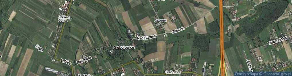 Zdjęcie satelitarne Nad Stawem ul.