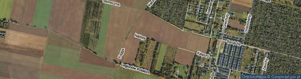 Zdjęcie satelitarne Nalepy Tadeusza ul.