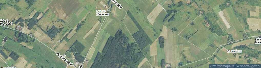 Zdjęcie satelitarne Na Poręby ul.