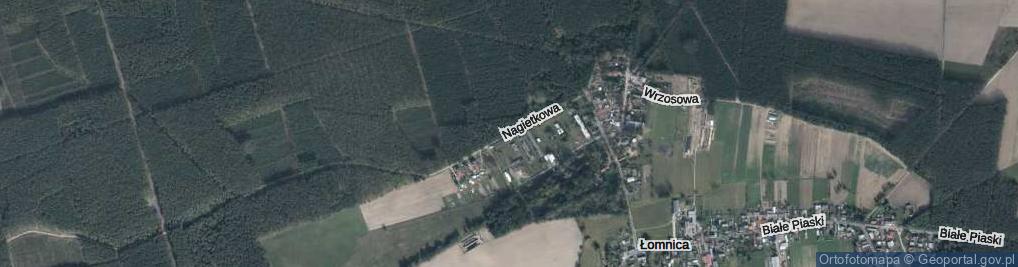 Zdjęcie satelitarne Nagietkowa ul.