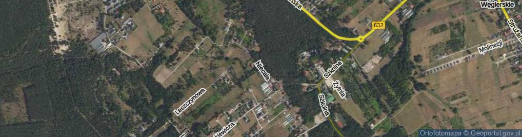 Zdjęcie satelitarne Niecała ul.