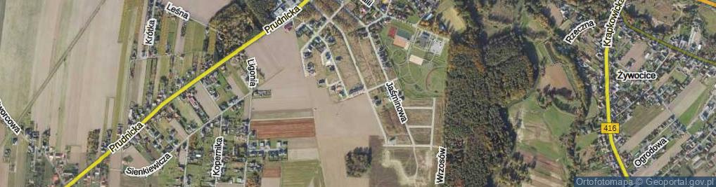 Zdjęcie satelitarne Niezapominajek ul.