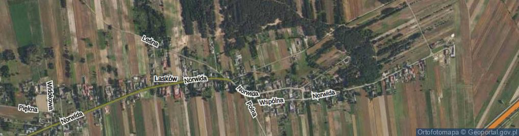 Zdjęcie satelitarne Niegowska ul.