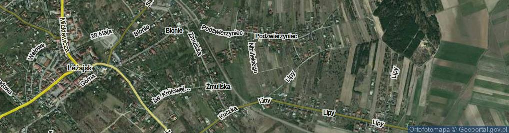 Zdjęcie satelitarne Nizińskiego Tadeusza ul.