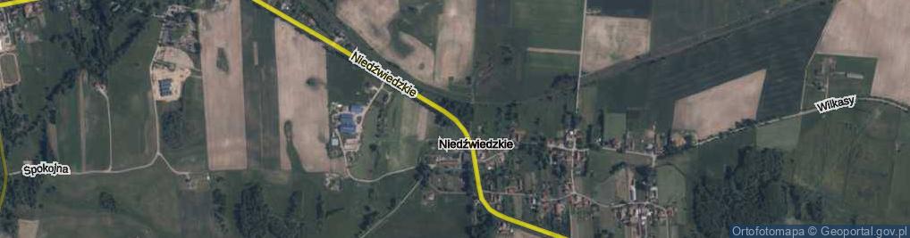 Zdjęcie satelitarne Niedźwiedzkie ul.