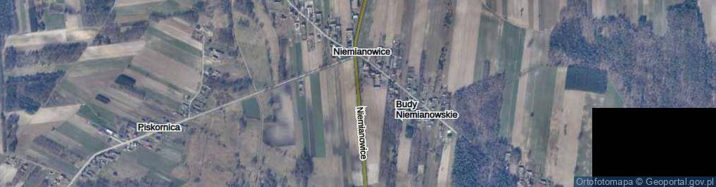 Zdjęcie satelitarne Niemianowice ul.