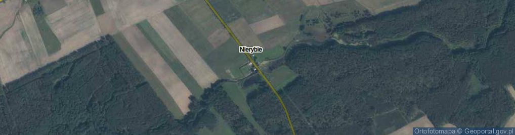 Zdjęcie satelitarne Nierybie ul.