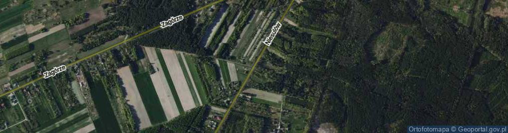 Zdjęcie satelitarne Niesulów ul.