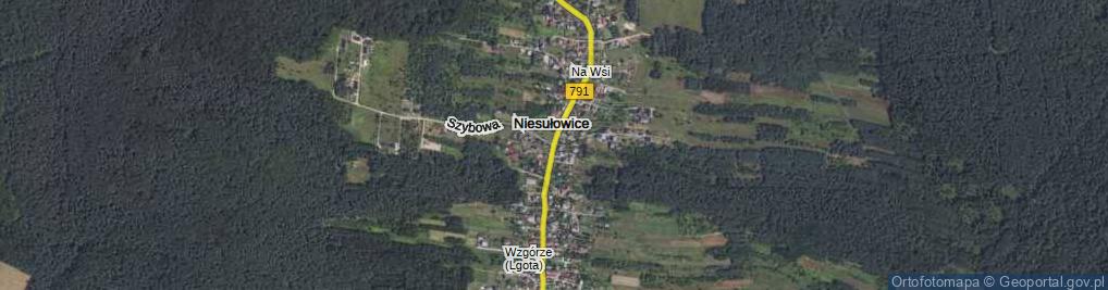 Zdjęcie satelitarne Niesułowice ul.
