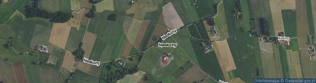 Zdjęcie satelitarne Niesłuchy ul.