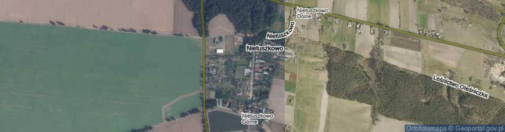 Zdjęcie satelitarne Nietuszkowo ul.
