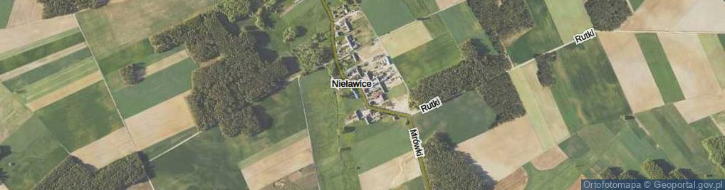 Zdjęcie satelitarne Nieławice ul.