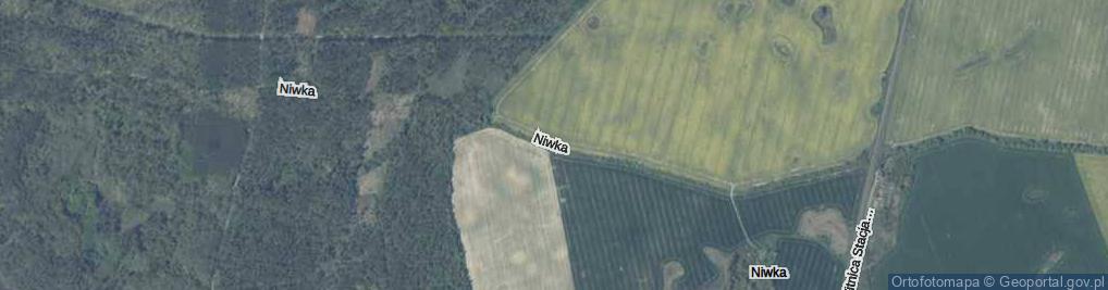 Zdjęcie satelitarne Niwka ul.