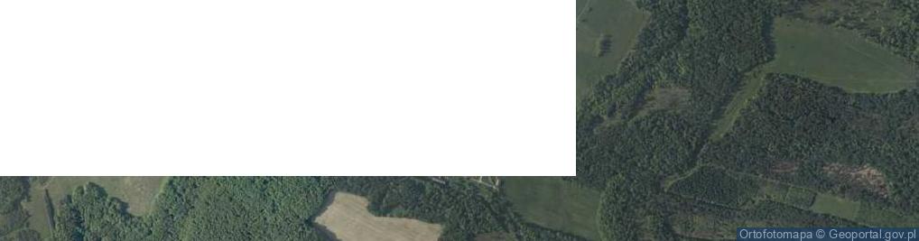 Zdjęcie satelitarne Niwki ul.