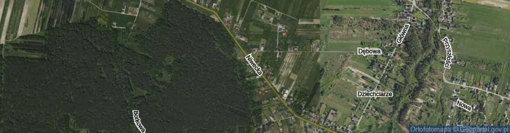 Zdjęcie satelitarne Niwecka ul.