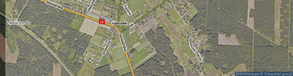 Zdjęcie satelitarne Nowy Świat ul.