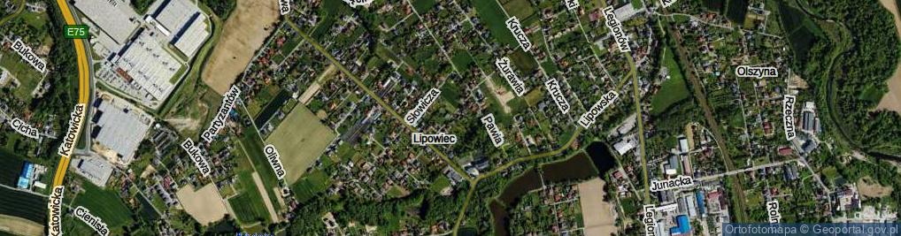 Zdjęcie satelitarne Nowa ul.